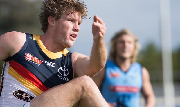 Adelaide - SANFL R1 v Sturt 2017 Harrison Wigg - Harrison Wigg,Adelaide Crows